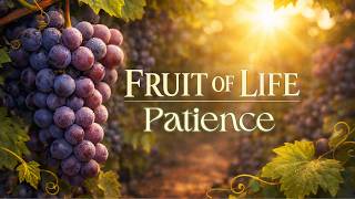 The Fruit of Life: Patience | Growing Through the Wait (Galatians 5:22-23) Net Worth