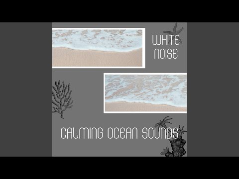 Sleduj [White Noise] Atlantic Rest - Loopable na YouTube