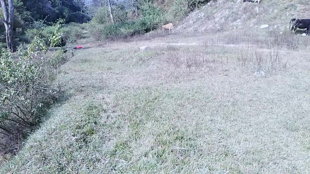 Cheap land for sale - YouTube