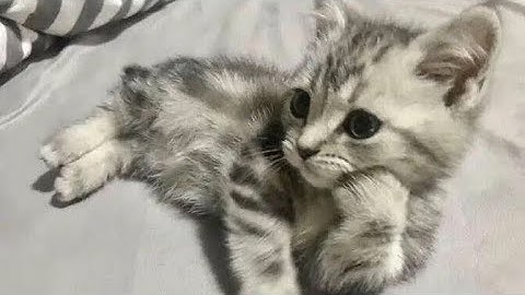 abuse of power (demoted)