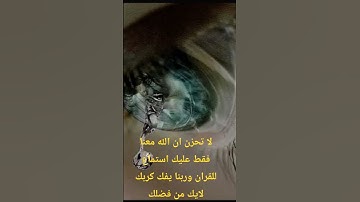 #قران_كريم #تلاوة_هادئة #راحة_نفسية #تلاوة_خاشعة #المصحف #لايك #اكسبلور #راحة_نفسية #قرآن