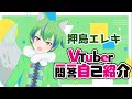【自己紹介】Vtuber一問一答自己紹介【押島エレキ/新人Vtuber】