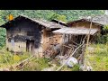 Sus padres fallecieron, no hay dónde vivir, un pobre huérfano busca una casa abandonada y la renueva
