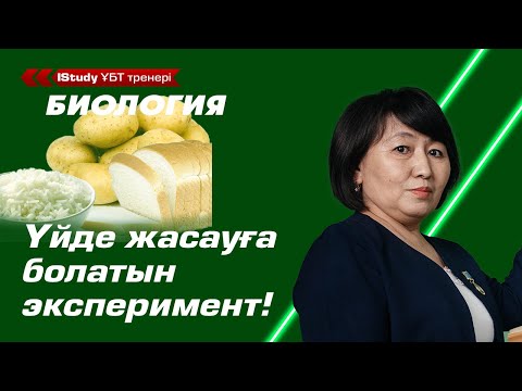 Бейне: Үйде крахмалды қалай жасауға болады