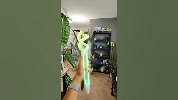 Tri Rod from Zelda Wisdom of Echoes Guide: learn.adafruit.com/zelda-tri-rod #3dprinting #adafruit