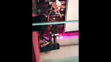 Thumbnail of مالي شغل بسوق