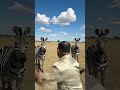 Zebra challenge