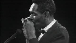 Vignette de la vidéo "Big Walter Horton - Juke"