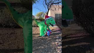 Rex Auditions to be a Reindeer!