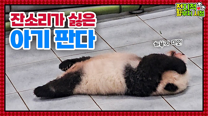 (SUB) Baby Panda Is Sulking At Zookeeper🐼│Panda World