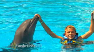 Maroma Adventures Dolphin Discovery Encounter