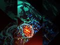 هرمون واحد يدمر تركيزك يوميا الحقيقة عن الكورتيزول التوتر تركيز نصائح  دماغ