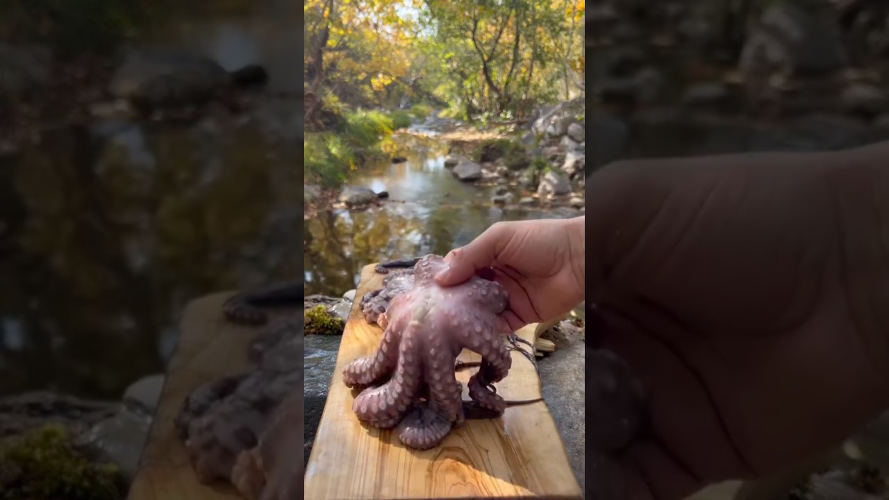 Octopus cooking |octopus lovers | 