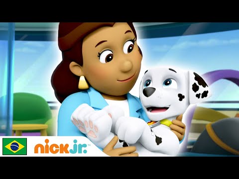 Patrulha Canina | Hora dos filhotes! - parte 2 | Nick Jr. em Português