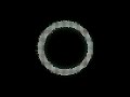 🪩 Neon Pixel Ring Loop | Futuristic Motion Graphics Background (Free No Copyright)