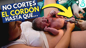 ¿Qué ocurre si no se corta el cordón umbilical de inmediato?