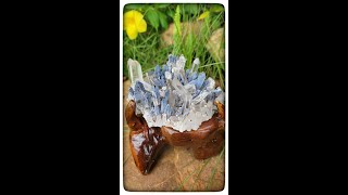Madagascar Clear Quartz Cluster with Vivianite #630g #MGC0007