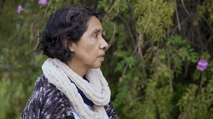 Mentes del Per: Norma Salinas