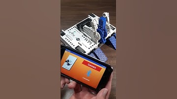 My Vex Robotics bite force! #battlebots #shorts