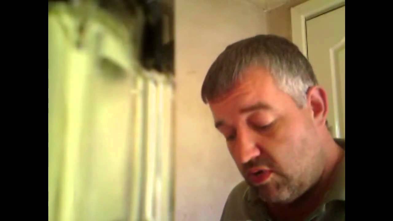 wakastaff the toothpaste song YouTube