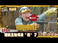 【🖐👆五哈6超长抢先看】王勉惨遭“群殴”🤣下秒彻底黑化疯狂“复仇”💥 #哈哈哈哈哈6 #HAHAHAHAHA6 | iQIYI潮综艺 #邓超 #陈赫 #鹿晗 #范志毅 #王勉