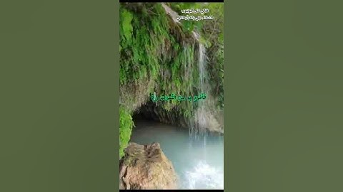 الشيخ ماهر المعيقلي سورة إبراهيم الآية 32