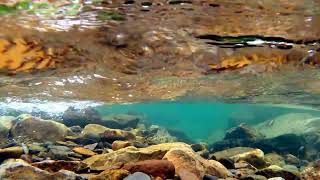 Иммерсивный ASMR . 1 час струящихся звуков воды без музыки