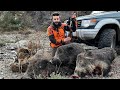 Caccia al cinghiale in Sicilia. Wildboar hunting in sicily / Chasse au sanglier.