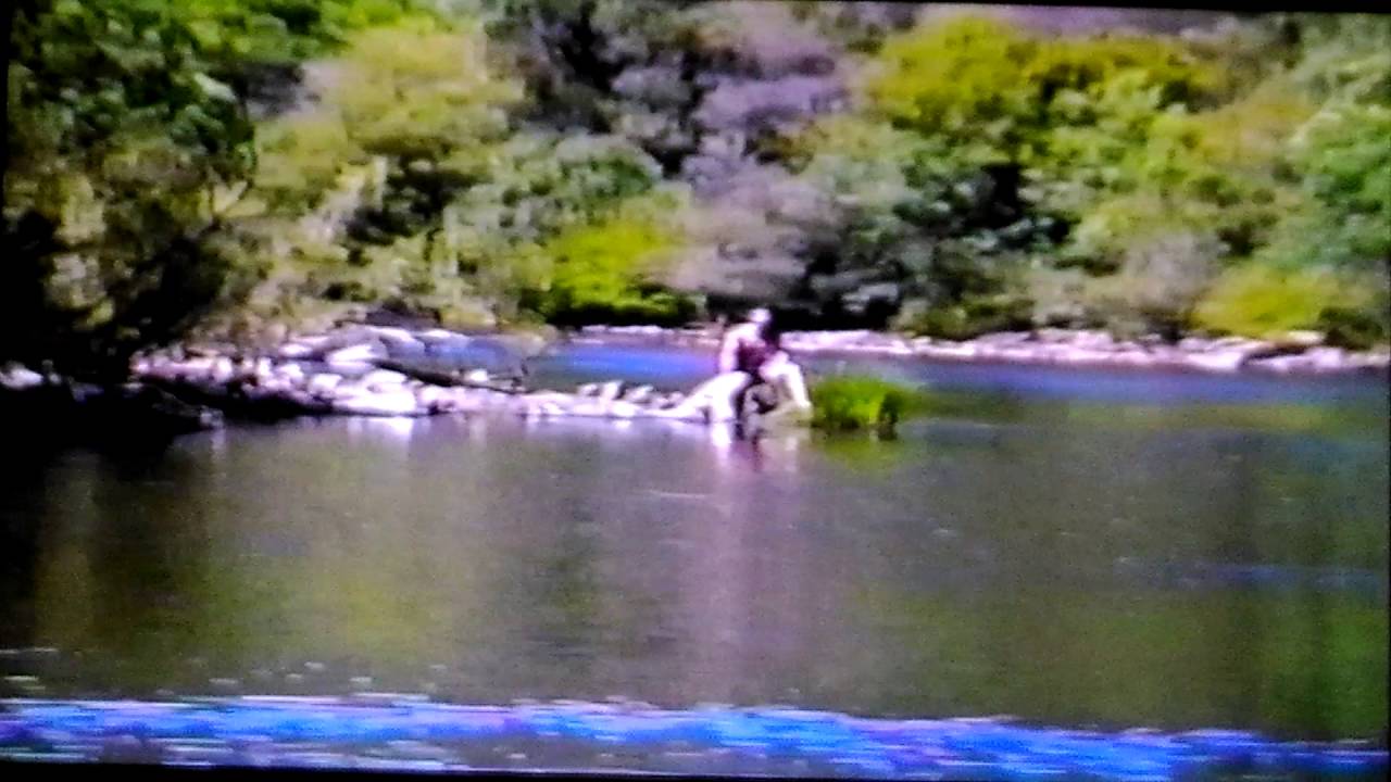 Me swimming the Murray River. YouTube
