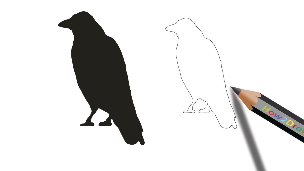 How to Draw a Crow Step by Step by Easydrawforkids on DeviantArt