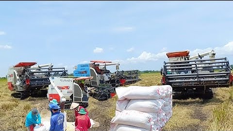 máy cắt 105 không hạ bồn cắt lúa không cần người hứng ba máy tập 80#maibangtv