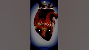 سورة الاخلاص| القارئ #عبدالعزيز_سحيم 🩷🩵 اكتب شيء تؤجر عليه