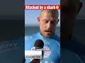 Mick Fanning attacked by a shark while in the lineup at a surf competition