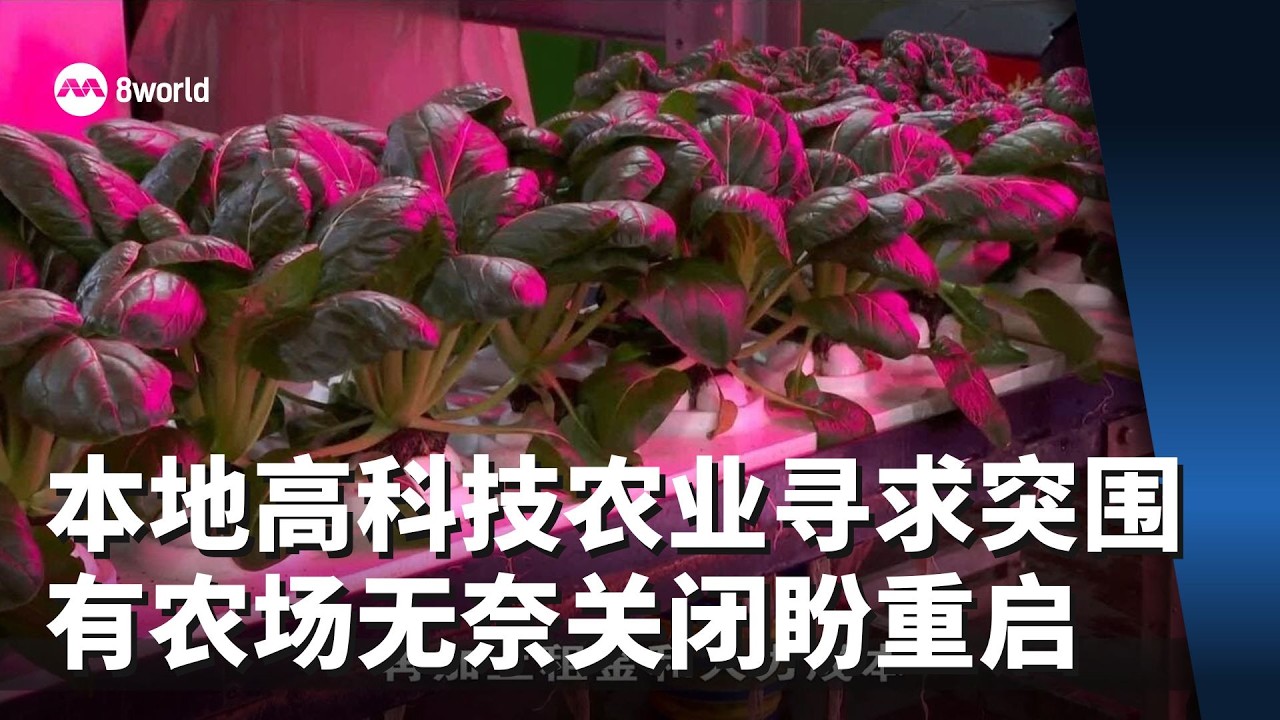 本地高科技农业寻求突围 有农场无奈关闭盼重启
