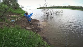 РЫБАЛКА НА СЕВЕРЕ. ВЕДРО РЫБЫ ИЗ ПОД КОРЯГИ. РЫБАЛКА НА СЕВЕРЕ. ВЕДРО РЫБЫ ИЗ ПОД КОРЯГИ.
