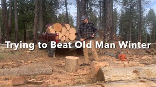 Cutting some much needed firewood!