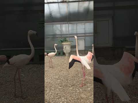 ПАРК ТАЙГАН АПРЕЛЬ