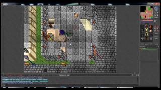 Confronting the GM (Administrator) on OldTibia.Eu