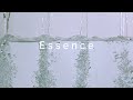 Ambient Dreamfields - Essence