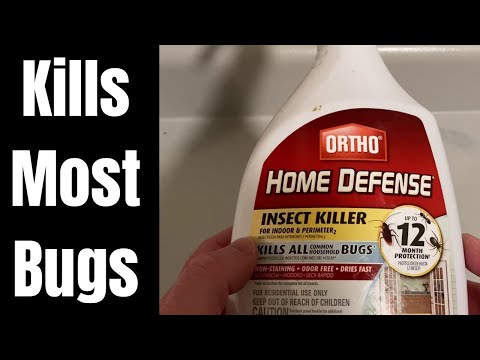 Бейне: Сіз кілемде Ortho Home Defense қолдана аласыз ба?