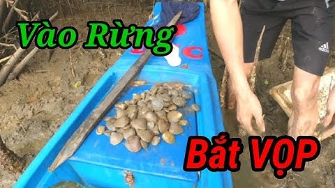 Vào Rừng Bắt Vọp l Chia Sẽ Kinh Nghiệm Bắt Con Vọp l Nghiệp Vũng Tàu Vlog #33