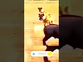 Wait for end😂 😂#comedy #funny #treding #reels#shorts#viral #newcomedy #shortvideo #viralvideo #short