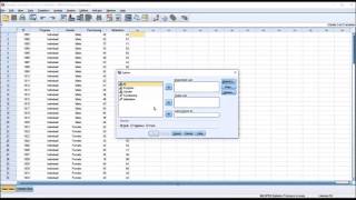 Normality Testing for All Levels of Two Independent Variables in SPSS Wealth