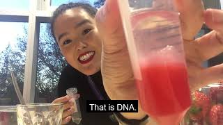 Extract DNA from strawberries with our Science Ambassadors Christina, Eduardo and Yu!