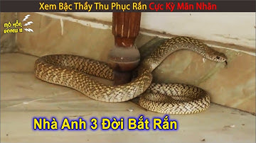 Bậc Thầy Thu Phục Rắn Trốn Trong Nhà Người Dân | Review Con Người Và Cuộc Sống