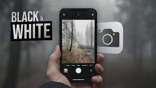 How to Take Black and White Photos on iPhone (Full Guide) screenshot 3