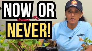 What I Will (and Won't) Do In My Garden Next Year!