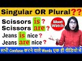 Common Grammar Mistakes in English! Confusing Nouns Singular or Plural