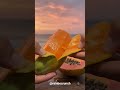 Sunset, ocean waves & juicy papaya magic 🌅 Pure tropical ASMR paradise #asmr #satisfying