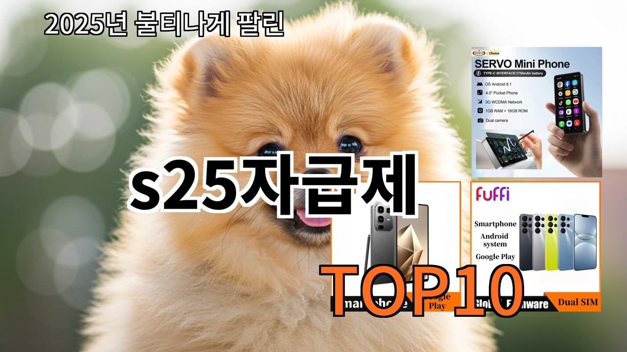 알리 s25자급제 기대 안 했는데 계속 쓰는 제품